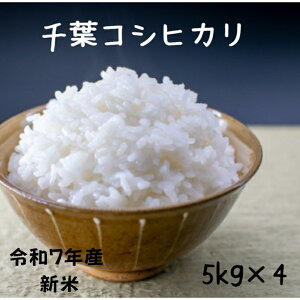 V 20kg RVqJ ߘa7NY ĉiIvVwjtRVqJ@20kgi5kg×4j