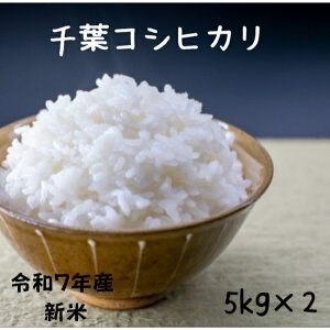  10kg  V ߘa7NY RVqJ ĉiIvVĉHƂiJ[gɒǉĉj tRVqJ 10kgi5kg×2j