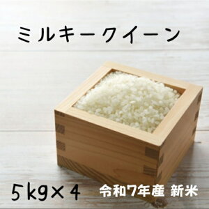 V ~L[NC[ 20kg ߘa7NY tY~L[NC[@ 20kgi5kgx4jikCEBEjhV̓ 蕨 Mtgɂ