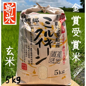 VāI ~L[NC[ 5kg  ߘa7NY z~L[NC[ tY~L[NC[  ܎ܕ  5kg L@엿gp _͔| ٓ 