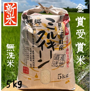 VāI ~L[NC[ 5kg  ߘa7NY z~L[NC[ tY~L[NC[  ܎ܕ  5kg L@엿gp _͔| ٓ 