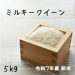 V 5kg ~L[NC[ Vėߘa7NY tY~L[NC[@ 5kgikCEBEjhV̓ 蕨 Mtgɂ