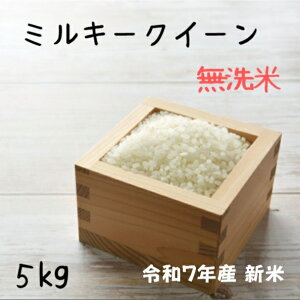  5kg V ~L[NC[ ߘa7NY  tY~L[NC[   5LyiAzBnɂj