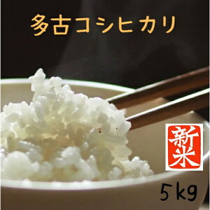 Õ tÕ V 5L  Õ RVqJ 5kg ߘa7NY@ĉHiʓrIvV̍wKvłjy쌣āz 5kg  ikCABA
