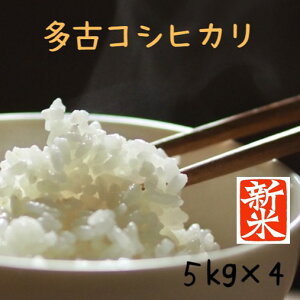 多古米 千葉県多古米 新米 20キロ 送料無料 多古米コシヒカリ 20kg (5kgx4) 令和7年産 無洗米加工可(別途オプションの購入が必要です)【徳川献上米】おいしい白米 5kg 送料無料 (北海道、九