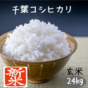 V 24kg   tRVqJ ߘa7NY ͕ʓrIvVwł܂@(kCB͕ʓr300~ꗣ͕ʓr500~)