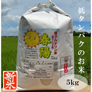 低タンパク米 低たんぱく米 白米 5kg 新米 春陽 令和7年 千葉 低グルテリン米 おいしい 低たんぱく食品 低たんぱくごはん腎臓病 糖尿病に 送料無料(北海道、九州は別途300円・沖縄・離島は