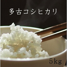 多古米 千葉県多古米 5キロ 送料無料 多古米 コシヒカリ 5kg 令和7年産　無洗米加工可（別途オプションの購入が必要です）【徳川献上米】おいしい白米 5kg 送料無料 （北海道、九州、沖縄除く）最短翌日配達（条件による）贈り物 ギフト