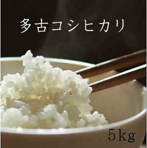 ���Õ� ��t�����Õ� 5�L�� �������� ���Õ� �R�V�q�J�� 5kg �ߘa7�N�Y�@�����ĉ��H�i�ʓr�I�v�V�����̍w�����K�v�ł��j�y���쌣��āz������������ 5kg �������� �i�k�C���A��B�A���ꏜ