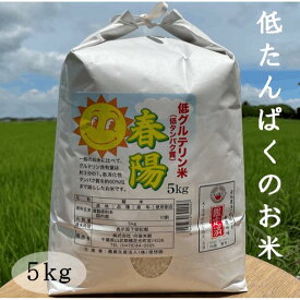 低タンパク米 低たんぱく米 白米 5kg 春陽 令和7年 千葉 低グルテリン米 おいしい 低たんぱく食品 低たんぱくごはん腎臓病 糖尿病に 送料無料（北海道、九州は別途300円・沖縄・離島は別途500円かかります）最短翌日配達（注文日配達地域による）