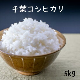 5キロ 送料無料 令和7年産 無洗米可（オプション※無洗米加工という商品をカートに追加して下さい）　コシヒカリ白米5kg 甘味と粘り