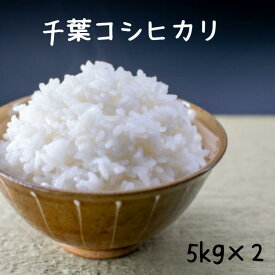 お米 10kg 送料無料 令和7年産 コシヒカリ 無洗米可（オプション※無洗米加工という商品をカートに追加して下さい） 千葉コシヒカリ 白米10kg（5kg×2）