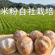 米粉パン グルテンフリー プチロール 10個 20個 冷凍 送料無料 米粉 パン プレーン 無添加 自社栽培 有機…