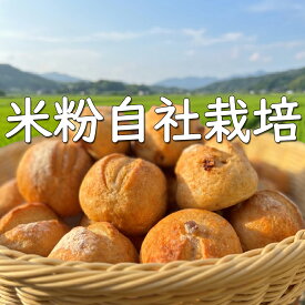 米粉パン グルテンフリー 4種セット計24個 冷凍 送料無料 米粉 パン プレーン 胡桃 サツマイモ チーズ 小麦粉不使用 無添加 グルテンフリーパン 自社栽培 有機肥料使用 減農薬栽培 低GI オーガニック 体に優しい原料 健康パン ミズホチカラ お餅パン