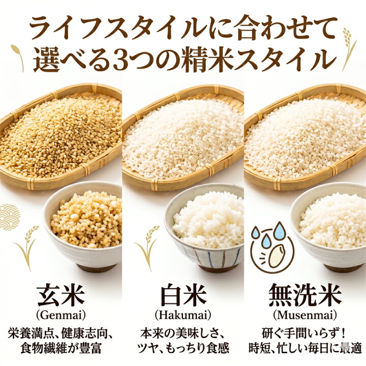 楽天市場】米 10kg コシヒカリ 千葉県産 送料無料 令和7年産 米10キロ 