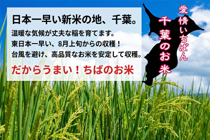 楽天市場】玄米 30kg コシヒカリ 送料無料 千葉コシヒカリ 7年産 精米 