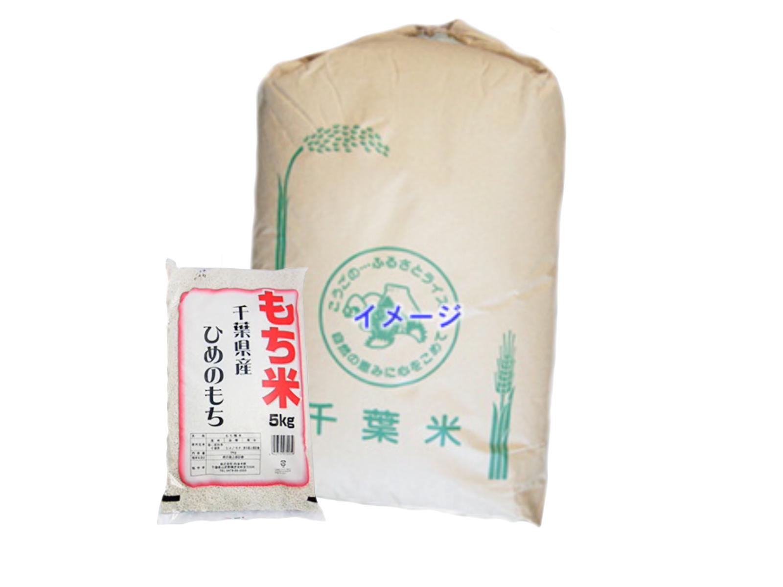 激安品 ①新米！令和５年産 千葉県産 餅米 マンゲツモチ 玄米30キロ - 食品