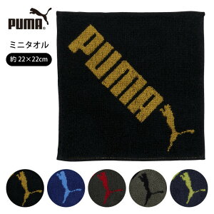 NX}X v`Mtg 500~ puma v[} ~j^I c 