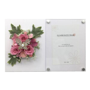 jvU[uht[ W[uCh t[tHgt[ ʐ^ tHgt[ sN av[g A Mtg NX}Xv[g