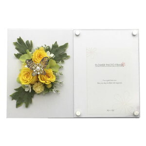 jvU[uht[ W[uCh t[tHgt[ ʐ^ tHgt[ F av[g A Mtg ̓