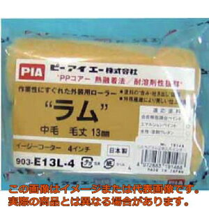 PIA@yCg[[iX[[[j@@я13mm@4C`@2{