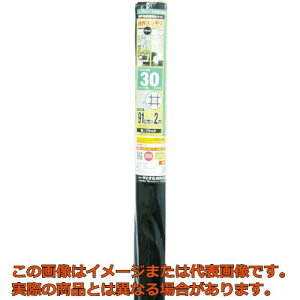 Dio@Ԍ˗pփlbg@30bV@91cm×2m@ubN