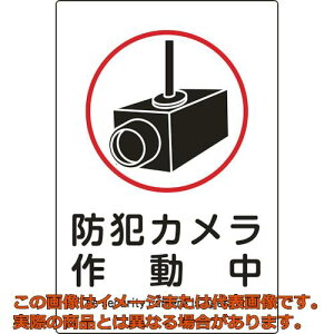 Ώ\@CXgW@hƃJ쓮@TC|110@450×300mm@Gr