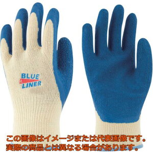 g@VRSw܁@u[Ci[3og@L@i3oj