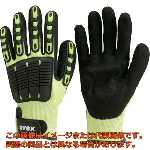 UVEX@ϐؑnEϏՌ܁@CpNg1@L