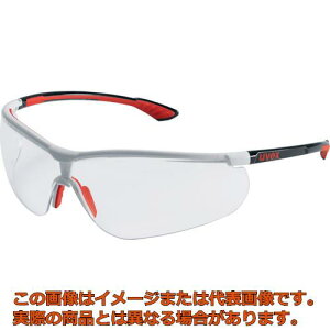 UVEX@^ی상Kl@X|[cX^C