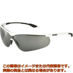 UVEX@^ی상Kl@X|[cX^C