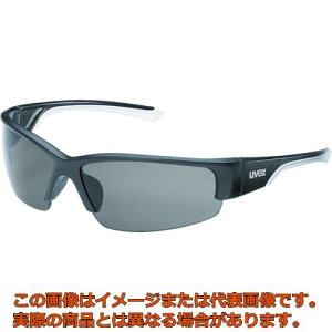 UVEX@^ی상Kl@|[rW9231iΌYj