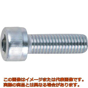 TRUSCO@Zpt{g@O@SlW@M6×15@21{@^Lbv{giCAPj