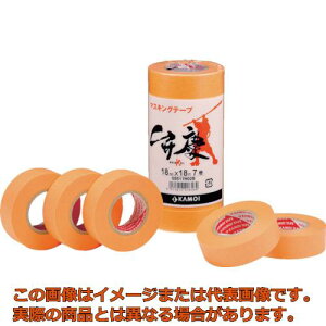 カモ井 マスキングテープ (2巻入)