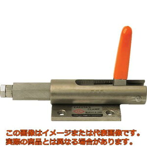 �p�c�@�������^�g�O���N�����v�@No�D51MB