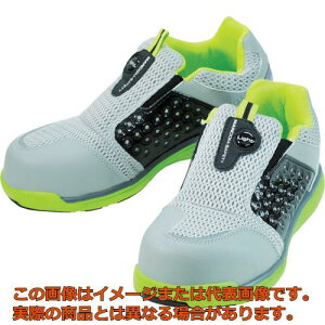 ی܁@}_Z[teB[767@C^O[@25D0cm