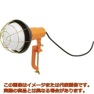 IRIS@521625@Nvd^5500lm