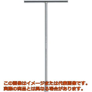 ミトロイ T型ホローレンチ 差替式 本体 300