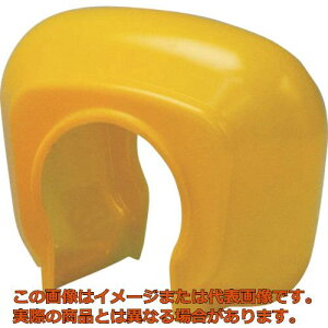 TRUSCO@PǃNvJo[@CG[@i100j