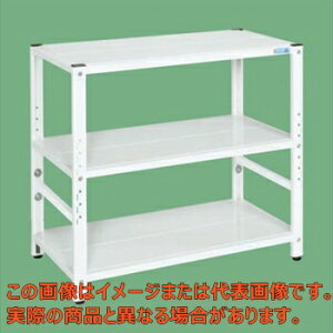 �T�J�G���b�N���������^�C�v�i100kg�^�i�E3�i�^�C�v�j�@TSTN2�|1090W�y�z�������w��s�E�l��s�z