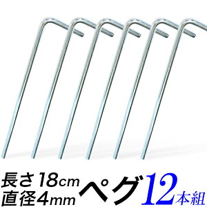 y|Cg10{zyO 12{Zbg/syO 180mm a4mm 12{/egA^[vAu[V[gAŒp/ŐAnʁAłލۂ/Lv@\L@BBQ/yzs/