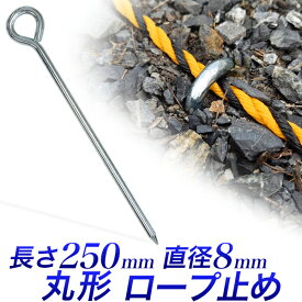 丸型ペグ 丸形ロープ止め 全長250mm 直径8mm 25cm 2本 4本 8本 20本 釘 テント 金具 ブルーシート 芝生 地面 運動会 駐車場 トラロープ 杭 キャンプ 駐車場ロープ杭 BBQ ネット