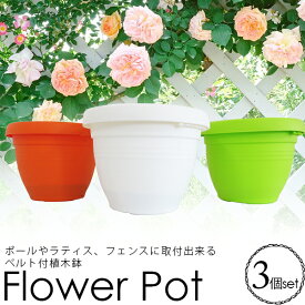楽天市場 ベランダ ハンギングの通販