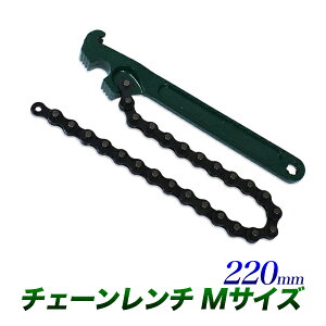 `F[` MTCY S220mm/ICtB^[ a 110mm/Gg`/IC`F[`/`F[̒ 400mm/ԗpi@GW@ICtB^[@p[cyz