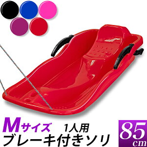 y|Cg10{zu[Lt \ M 85cmE/ԁ@@@@sN/1lp lp q/u[L  ẼRg[/Qf V XC_[/XL[@䂫Vс@