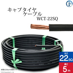 Ob ( Oc )@nڗp Lu^CP[u i Lv^C j @WCT@22SQ 5m