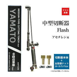 }gYƁ@AZ` p ^ؒf Flash (  ) @{̂ az[XZbg az[Xoh 2t ΌȂ