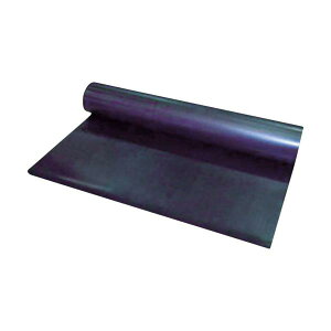 WAKI �V�R�S���f�� �S���V�[�g1�� ����0.5×��1000×����10m WGS-51010R