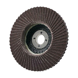 AC PGA-X �t���b�v�f�B�X�N A PGAX10015-A-60�y10���z