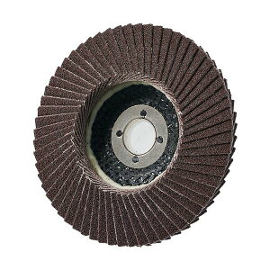 AC PGA-X �t���b�v�f�B�X�N A PGAX10015-A-80�y10���z